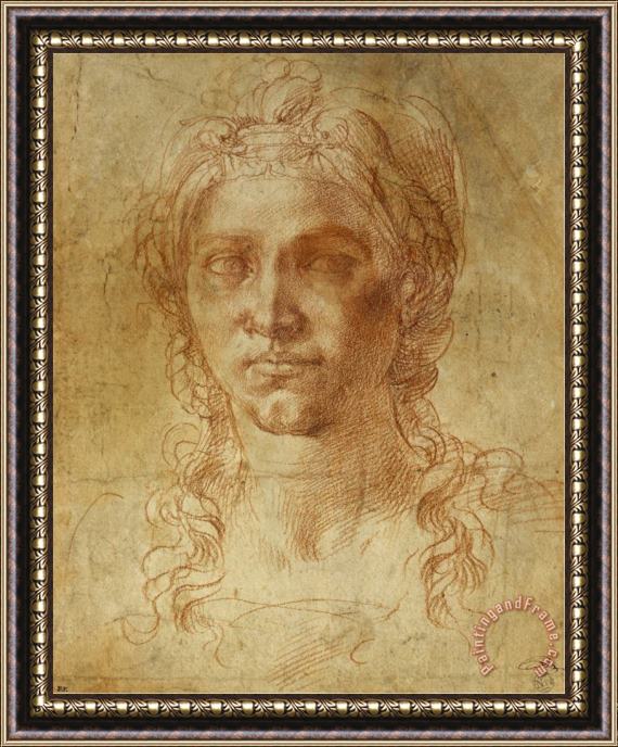 Michelangelo Buonarroti Female Idealized Head 1520 1530 Framed Painting