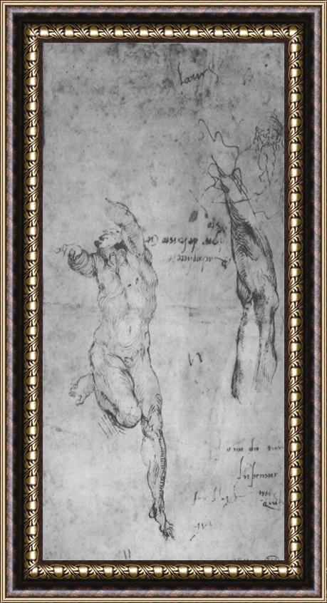 Michelangelo Buonarroti Male Nude And Arm of Bearded Man 1504 Framed Print
