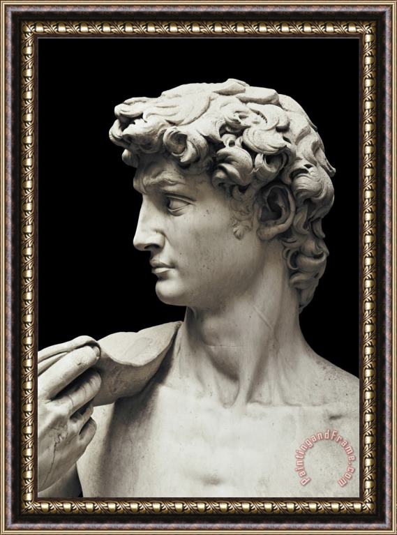 Michelangelo Buonarroti Michelangelo David Framed Print