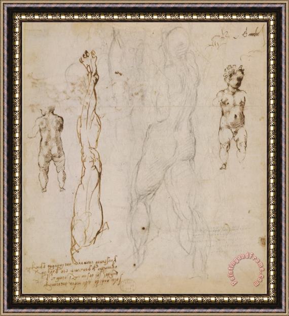 Michelangelo Buonarroti Michelangelo Eight Studies of Nude Children Framed Painting