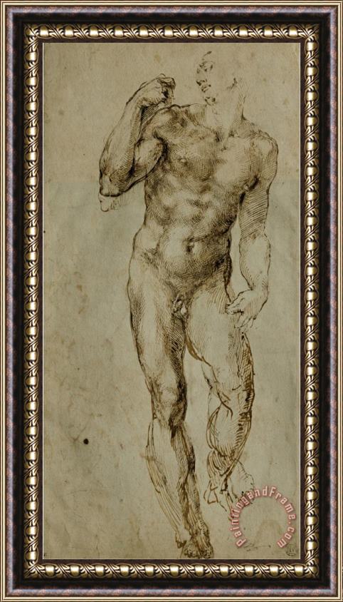 Michelangelo Buonarroti Nude Male Figure Seen Frontally Circa 1502 1506 Framed Print
