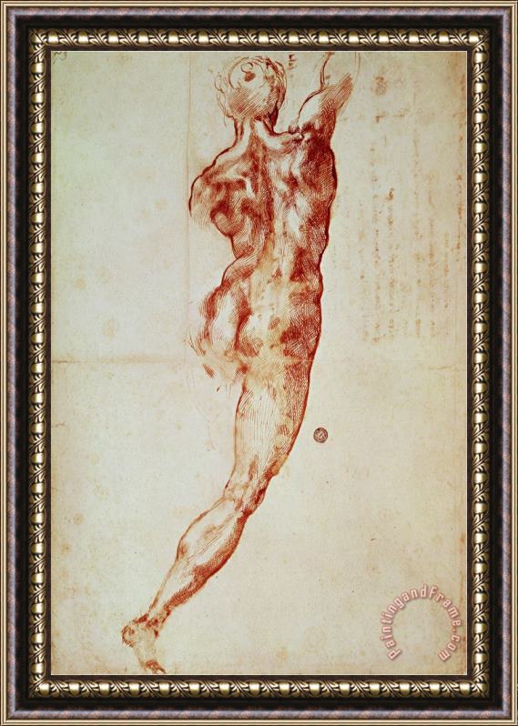 Michelangelo Buonarroti Nude Study for The Battle of Cascina Framed Print