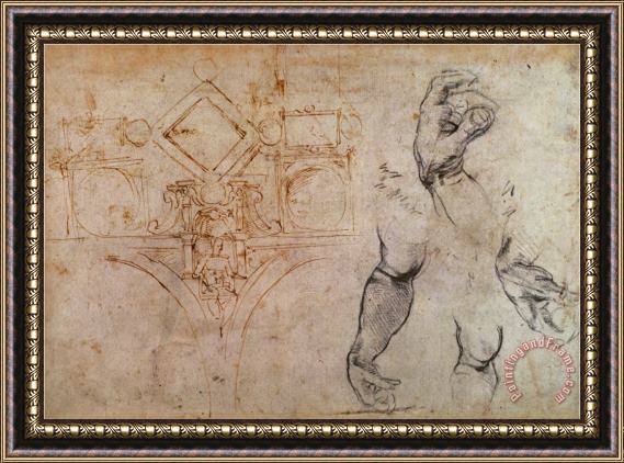 Michelangelo Buonarroti Scheme for The Sistine Chapel Ceiling C 1508 Framed Print