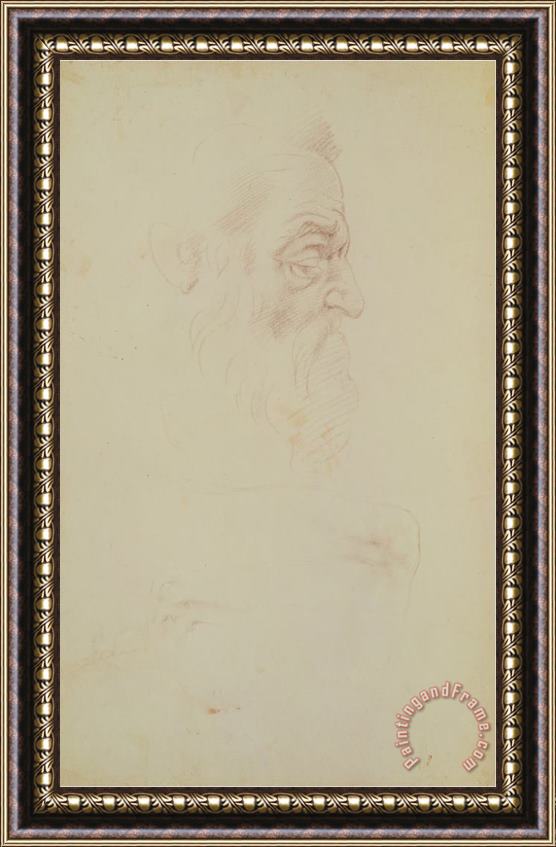 Michelangelo Buonarroti Sketch of a Male Head And Two Legs Framed Print