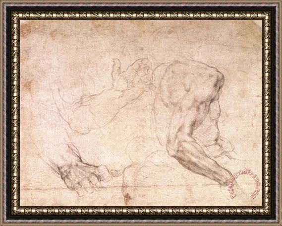 Michelangelo Buonarroti Studies of Hands And an Arm Framed Print