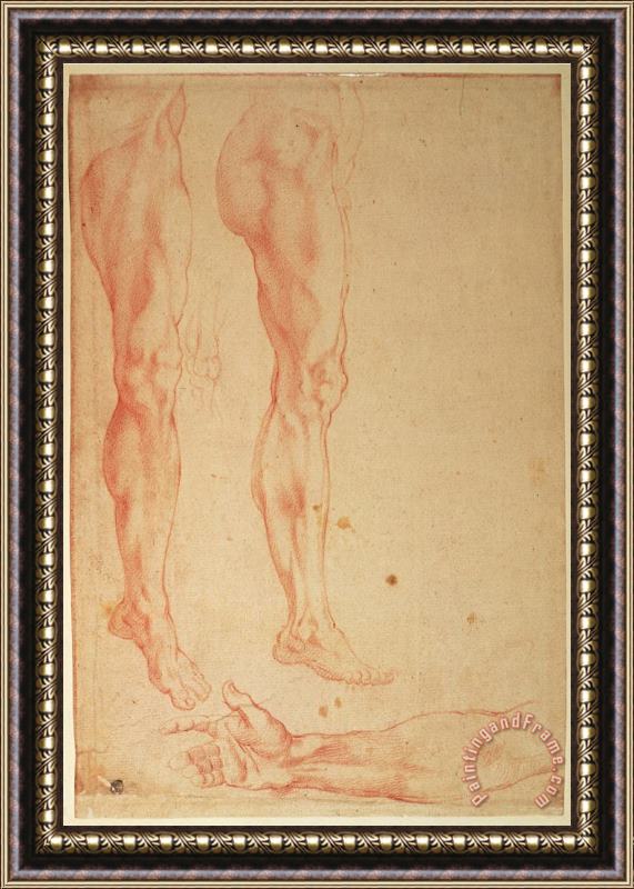 Michelangelo Buonarroti Studies of Legs And Arms Red Chalk on Paper Framed Painting