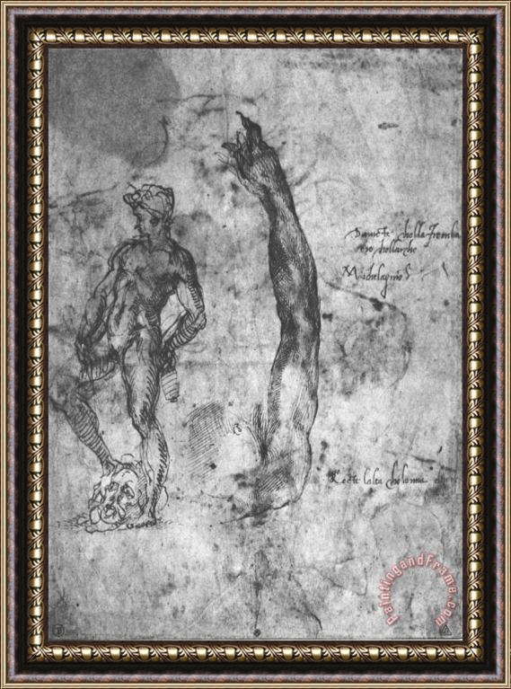 Michelangelo Buonarroti Study for an Arm of The Marble David And The Figure of The Bronze David Framed Print
