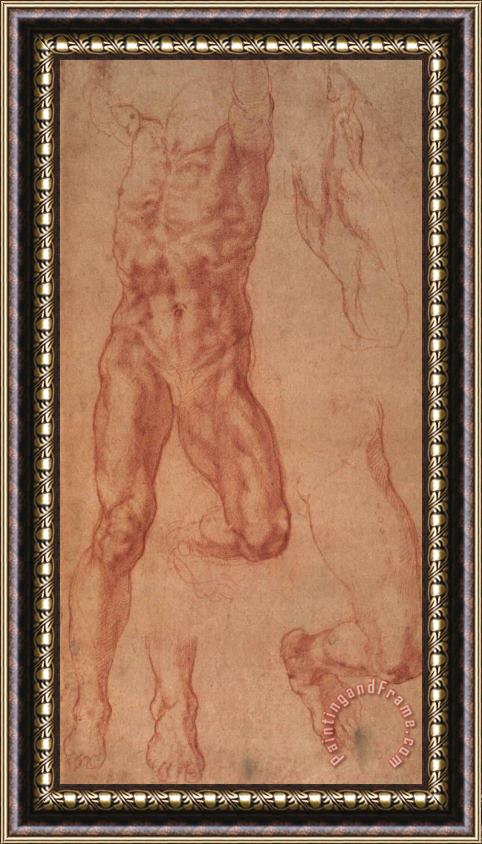 Michelangelo Buonarroti Study for Haman Framed Painting