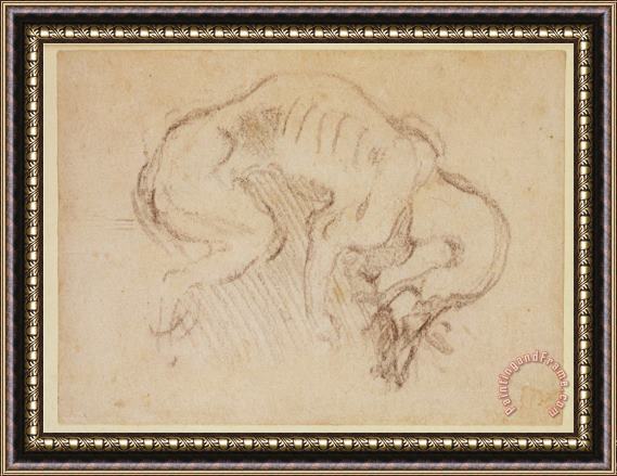 Michelangelo Buonarroti Study of a Dog Framed Painting