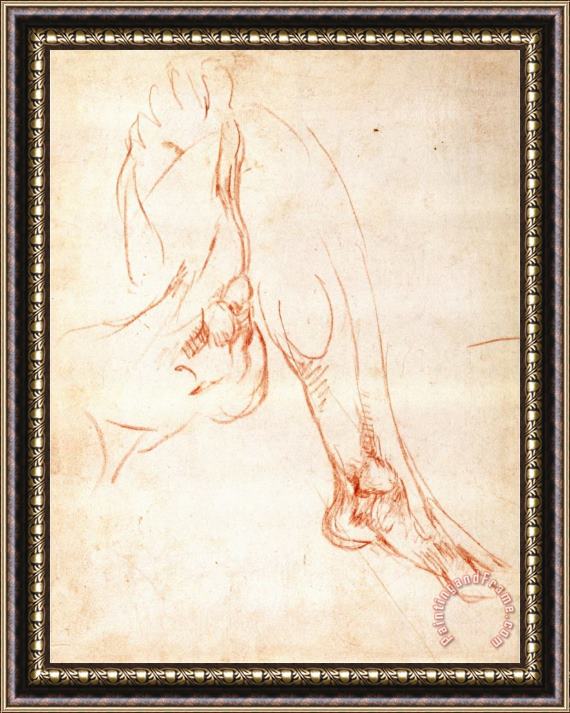 Michelangelo Buonarroti Study of a Lower Leg And Foot Framed Print