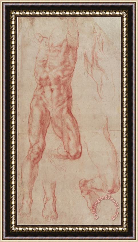 Michelangelo Buonarroti Study of a Male Nude Stretching Upwards Framed Painting