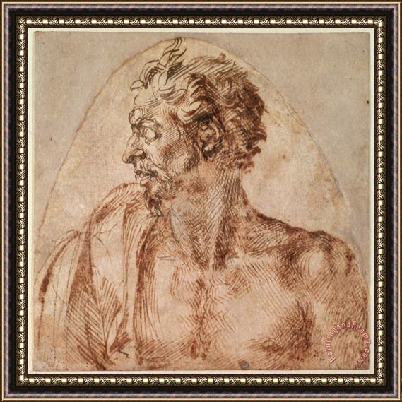 Michelangelo Buonarroti Study of Head And Shoulders Framed Painting