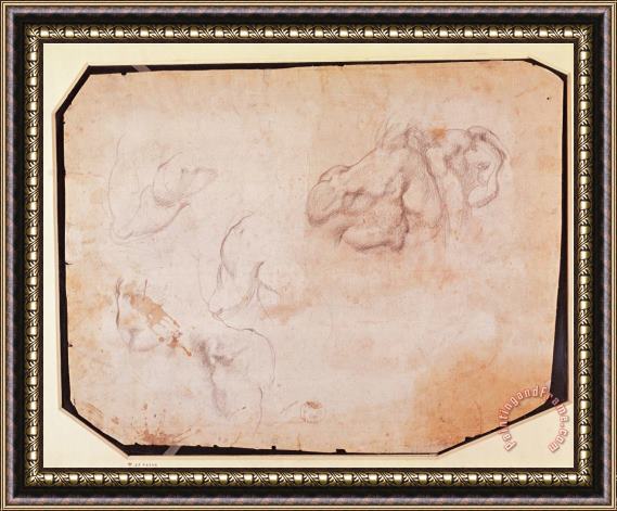 Michelangelo Buonarroti Study of Muscles Pencil on Paper Verso for Recto See 191769 Framed Print