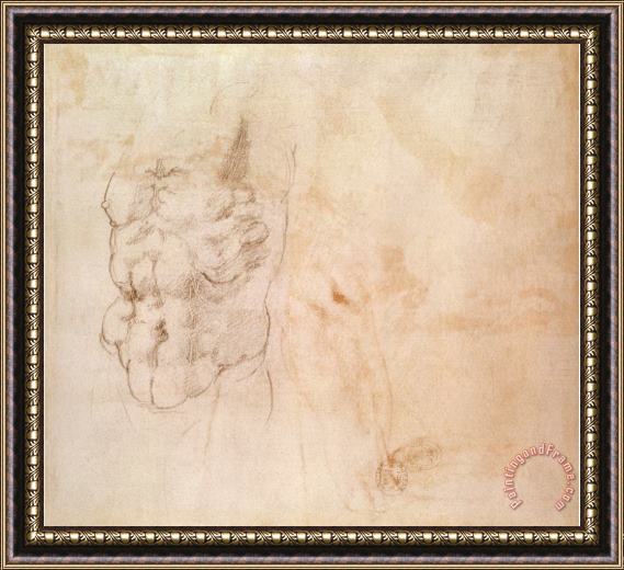Michelangelo Buonarroti Torso Study Framed Print
