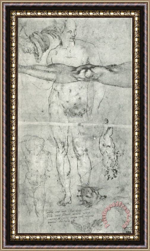 Michelangelo Buonarroti Various Studies Framed Painting