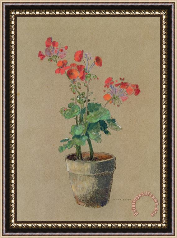 Odilon Redon Geraniums In A Pot Framed Painting