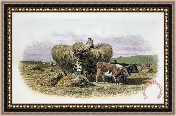 Others 19th CENTURY AMERICAN FARM Framed Print