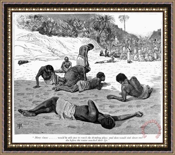 Others Africa: Slave Trade, 1889 Framed Painting