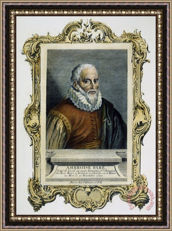 Others Ambroise Pare (1517 -1590) Framed Painting