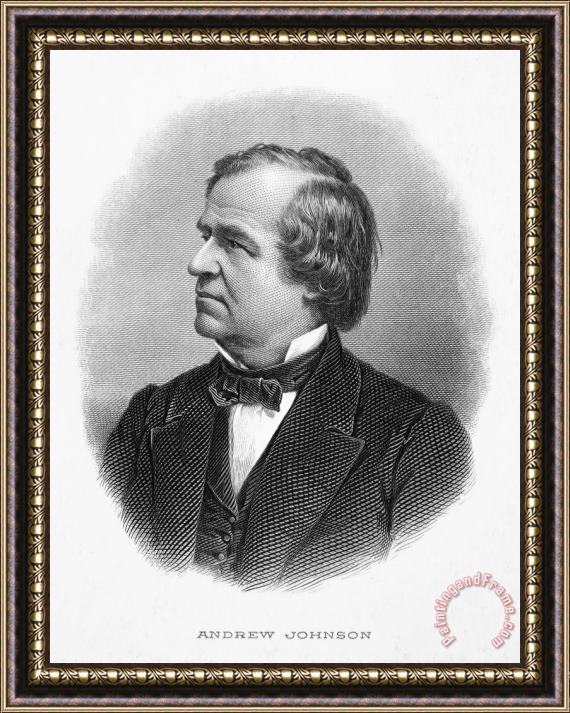 Others Andrew Johnson (1808-1875) Framed Painting