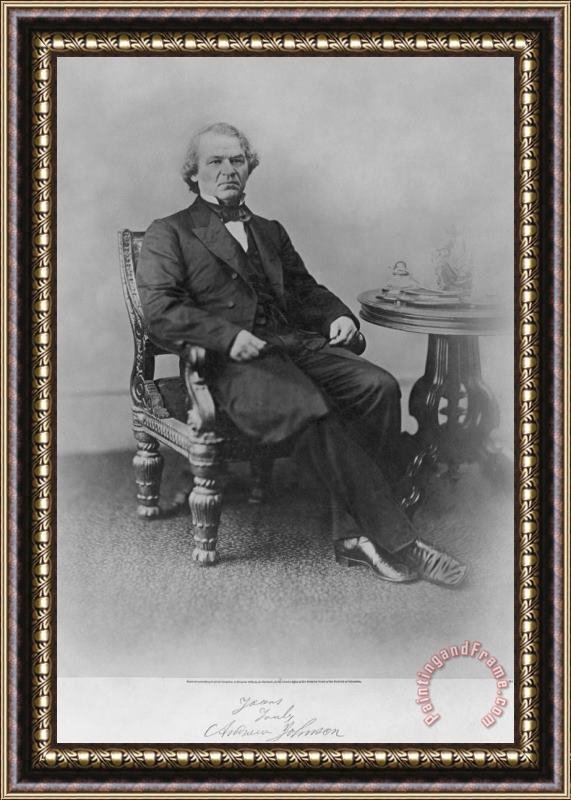 Others Andrew Johnson (1808-1875) Framed Print
