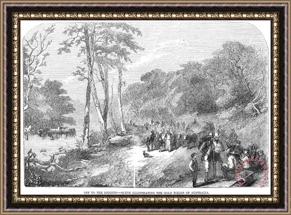Others Australian Gold Rush, 1853 Framed Painting
