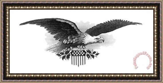 Others Bald Eagle Framed Painting