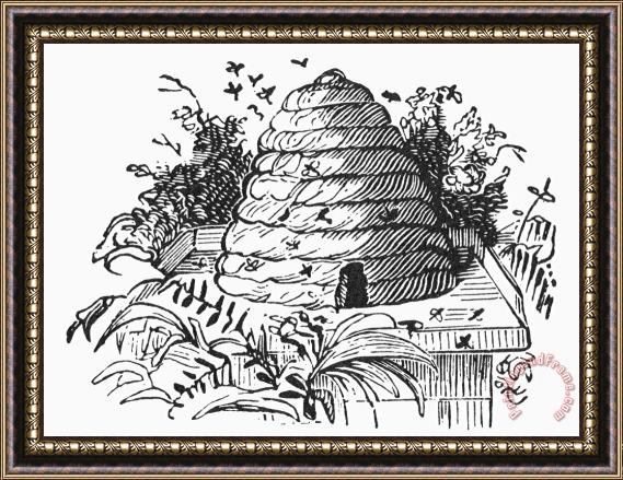 Others Beehive Framed Print