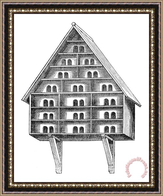 Others BIRDHOUSE, 19th CENTURY Framed Painting