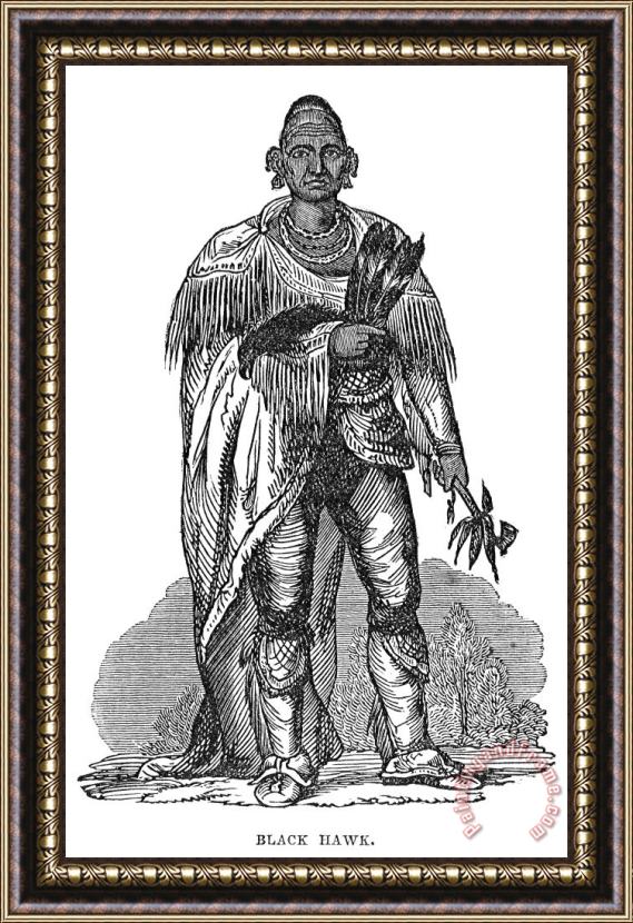 Others Black Hawk (1767-1838) Framed Painting