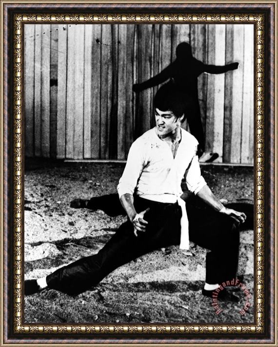 Others Bruce Lee (1940-1973) Framed Painting