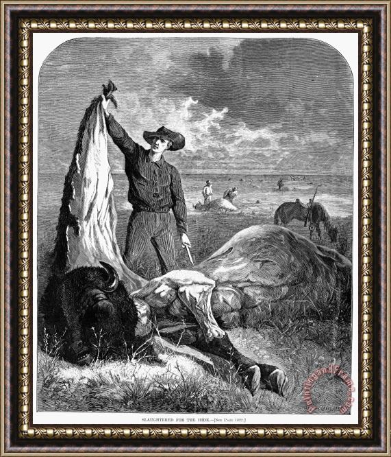 Others Buffalo Skinners, 1874 Framed Painting