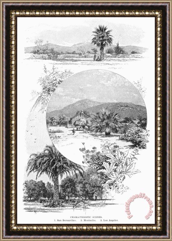 Others California, 1890 Framed Print