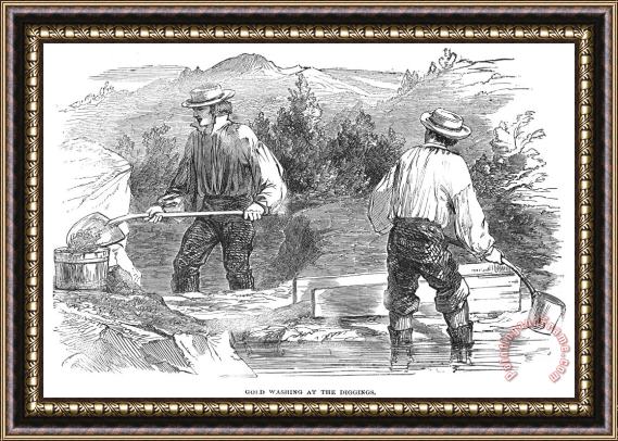 Others California Gold Rush, 1849 Framed Print