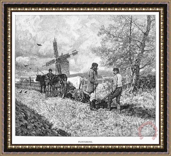 Others Canada: Farming, 1883 Framed Painting