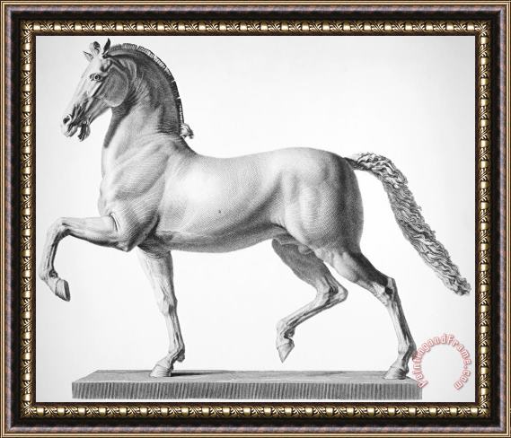 Others Canova: Horse Framed Painting