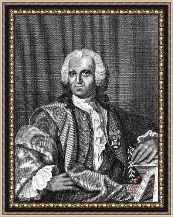 Others Carolus Linnaeus (1707-1778) Framed Print