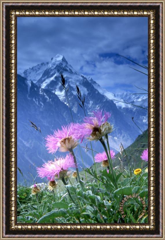 Others Caucasia Bezengi Framed Painting