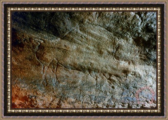 Others Cave Art: Bison Framed Painting