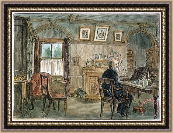 Others Charles Darwin (1809-1882) Framed Painting