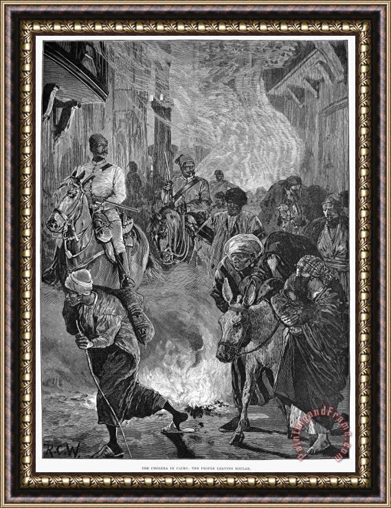 Others Cholera: Egypt, 1883 Framed Painting
