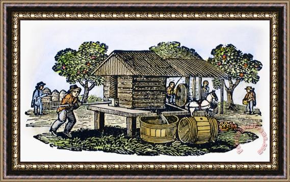 Others CIDER MILL, 19th CENTURY Framed Print