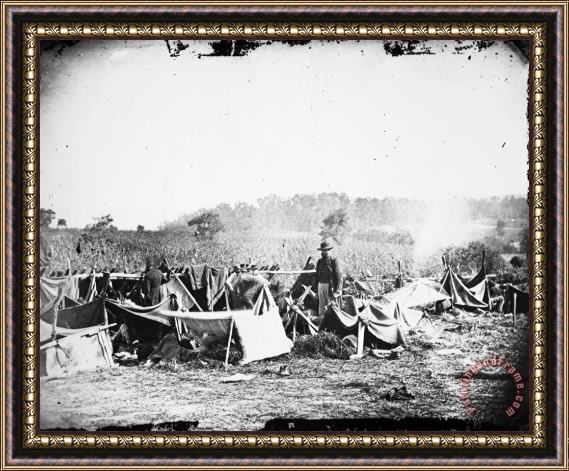 Others Civil War: Wounded, 1862 Framed Painting