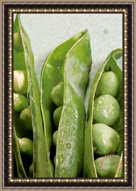 Others Close Up Of Green Peas In Pods Framed Print