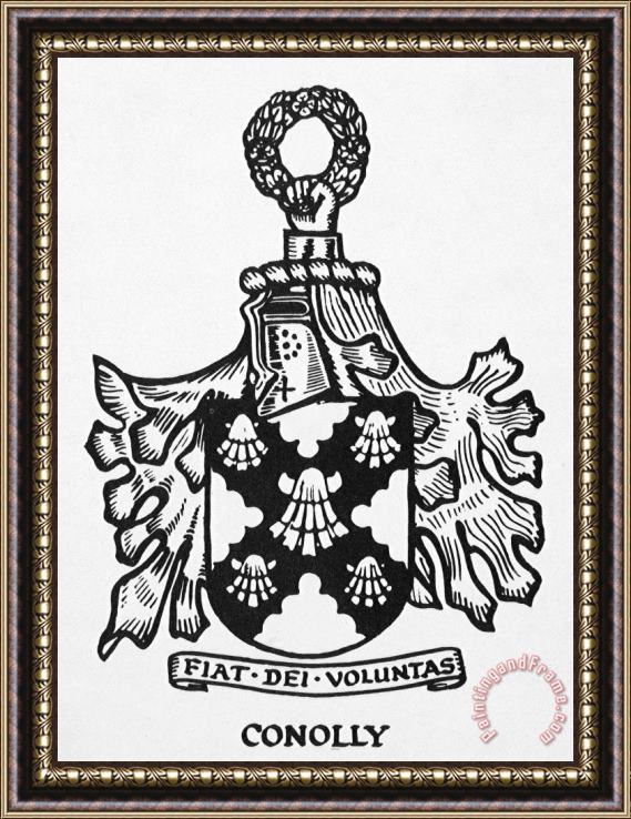 Others Coat Of Arms Framed Print
