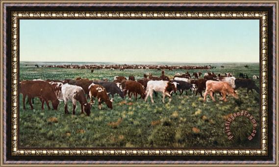 Others Colorado: Round Up Framed Print