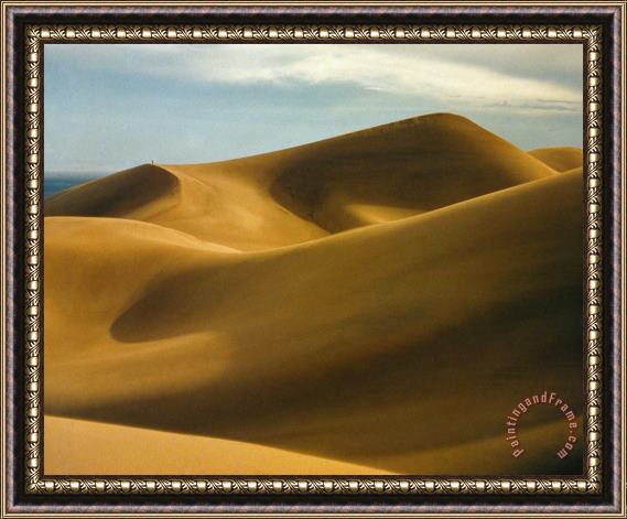 Others Colorado: Sand Dunes Framed Painting