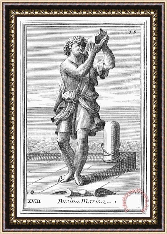 Others Conch Shell Trumpet, 1723 Framed Painting