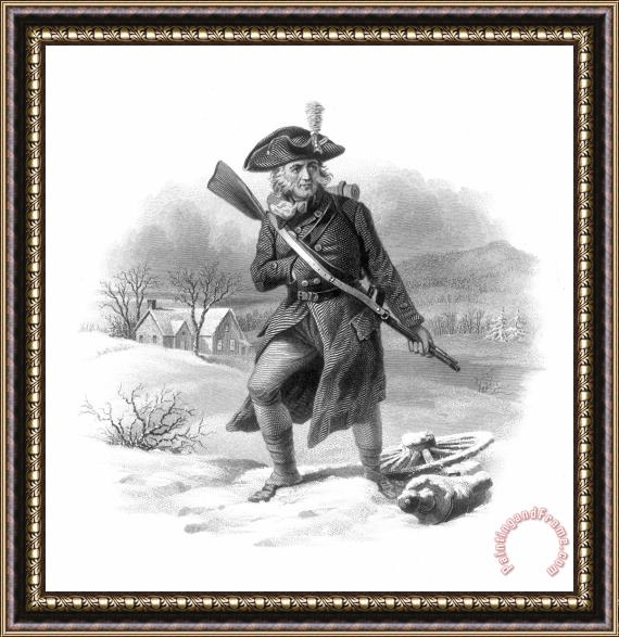 Others Continental Soldier Framed Print