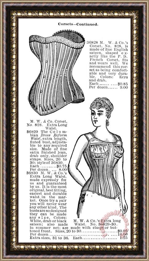 Others Corset Advertisement, 1895 Framed Painting